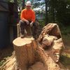 Moulton Tree Service