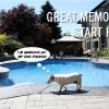 Taylor Made Pools.com