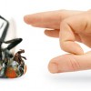 City Pest Control