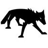 Coyote Ventures