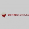 Big Tree Care