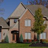 White Elm Contracting