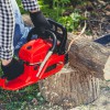 Steve's Tree Services