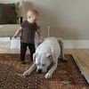 Boft Fine Rugs Gallery