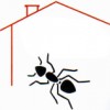 Associated Victoria Pest Control