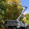 Fisher Tree Service