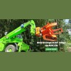 Neuheimer Tree Care & Consulting
