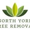 Tree Removal
