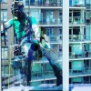 The Window Viper Glass & Gutter Cleaning