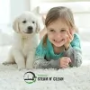 Toronto Steam N Clean