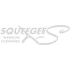 Squeegees Window Cleaning