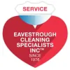 Eavestrough Cleaning Specialists
