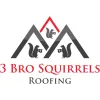 Three Bro Squirrels Roofing