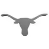 Longhorn Landscaping