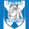 Winnipeg Demolition