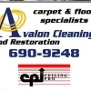 Avalon Cleaning