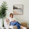 Suze Interiors
