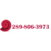 Carpet Cleaning Oakville