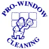 Pro-Window Cleaning