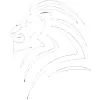 Lions Concrete Cutting & Coring