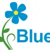Blueflower Sunrooms