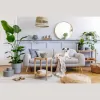 Maqsim Furniture Cleaning & Protection