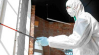 Termite Control
