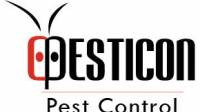 Ant Control Mississauga